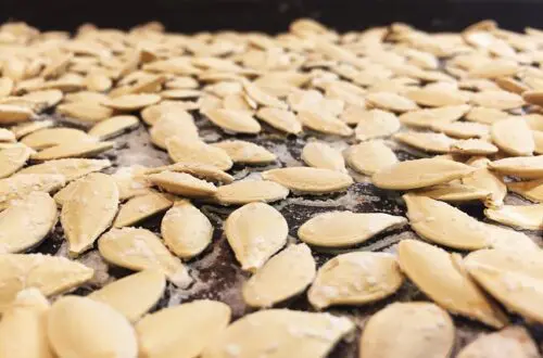roasted-pumpkin-seeds