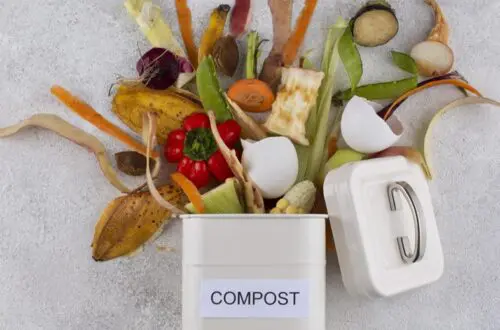 How to reduce food waste meal planning