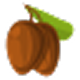 Tree-Nuts (avoid e.g. walnuts, almonds, etc.)